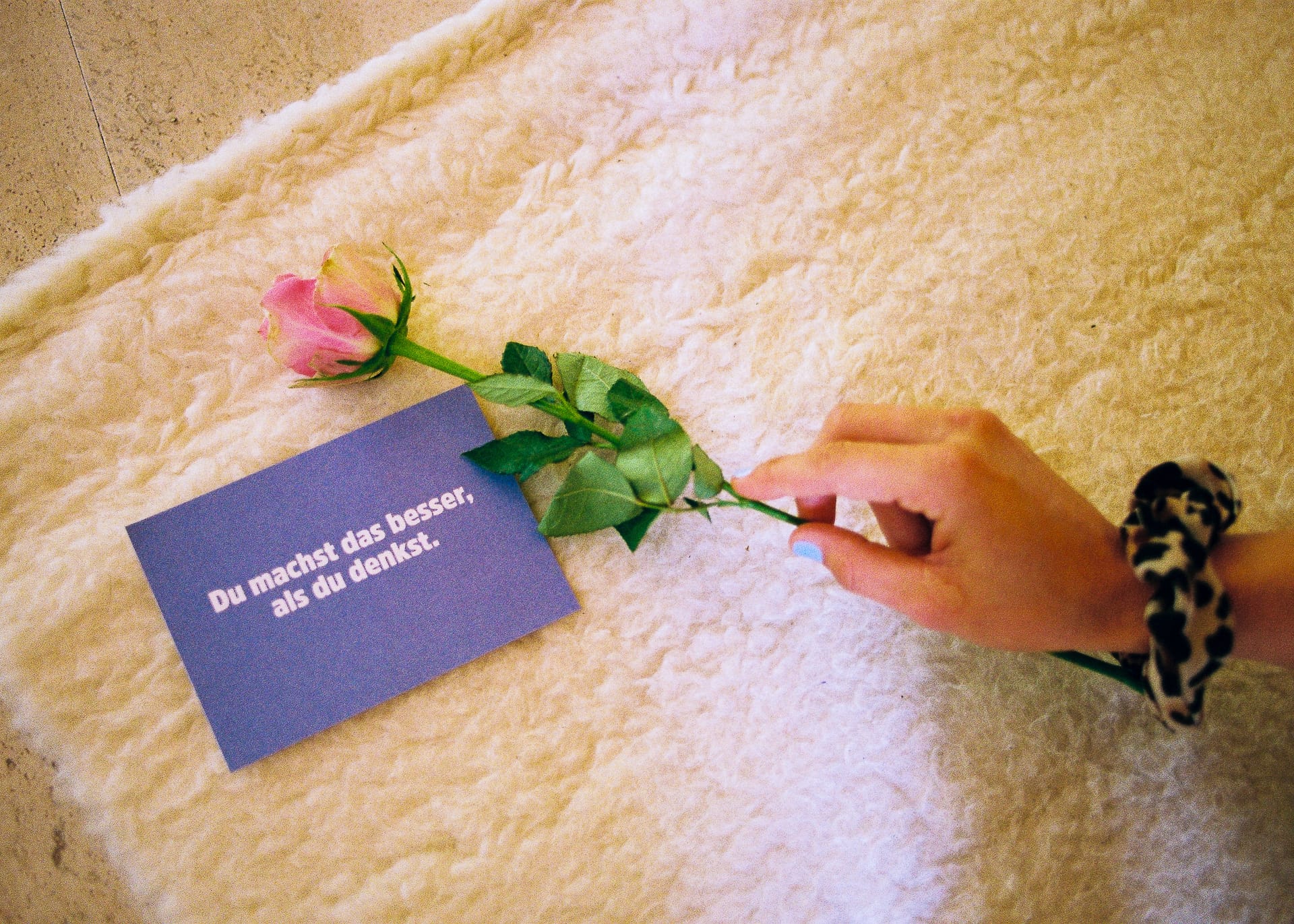 250907_Nicole_-14jpg